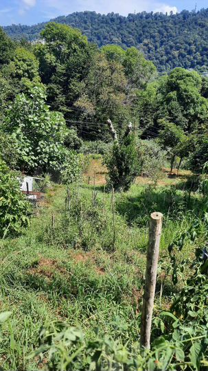 Участок 4,1 сот. (ИЖС)