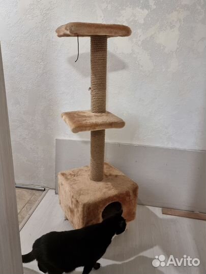 Домик для кошки