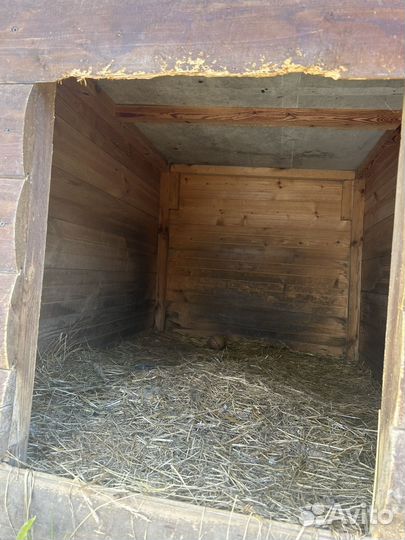 Будка для собаки