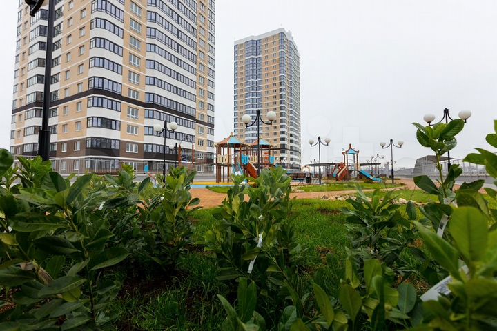 Квартира-студия, 26,6 м², 5/24 эт.