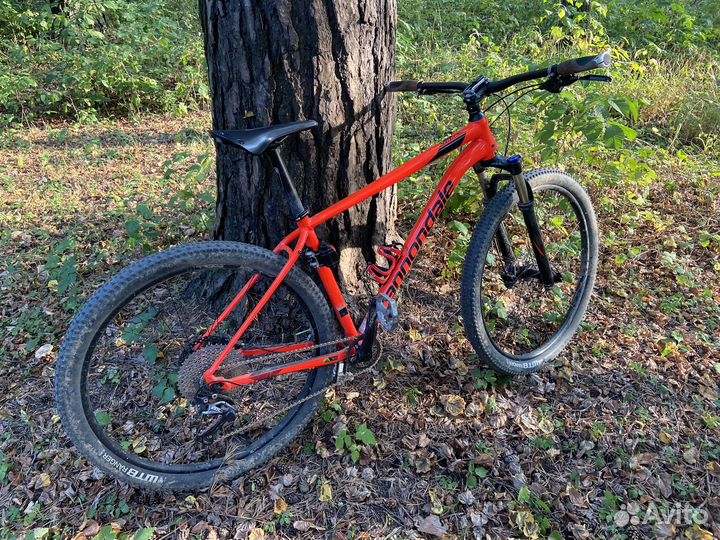Велосипед хардтейл 29 Cannondale Trail 3 (L)