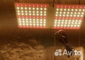 Фитолампа quantum board полный спектр 600 Вт