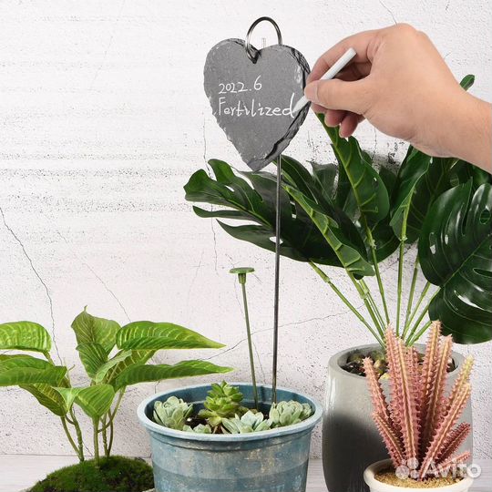 Комплект табличек из сланцевого камня для растений