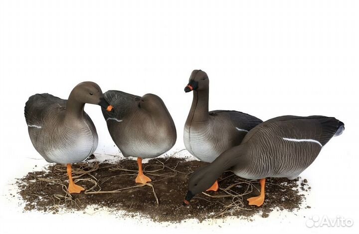 Чучела Гуменник superxpe