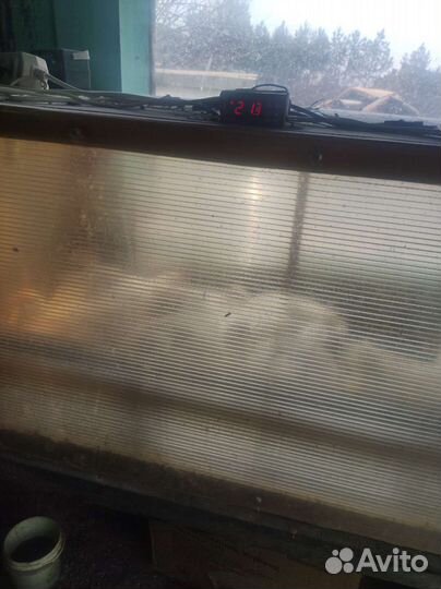 Клетки для бройлеров, брудеры