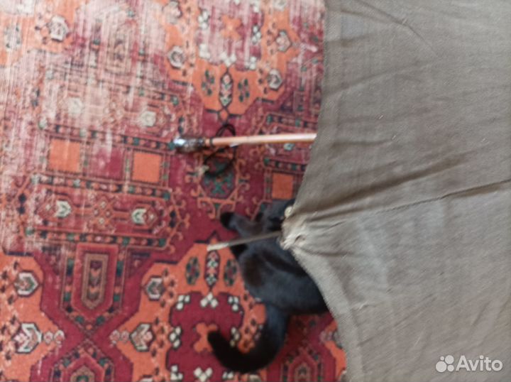 Зонт советский