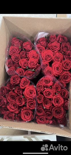 Купить розы оптом