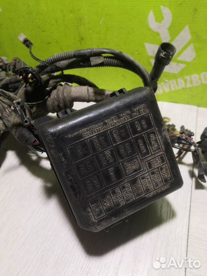 Проводка (коса) Сузуки Балено 98-07