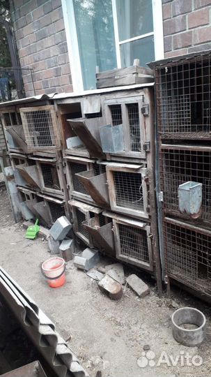 Клетка для кролика