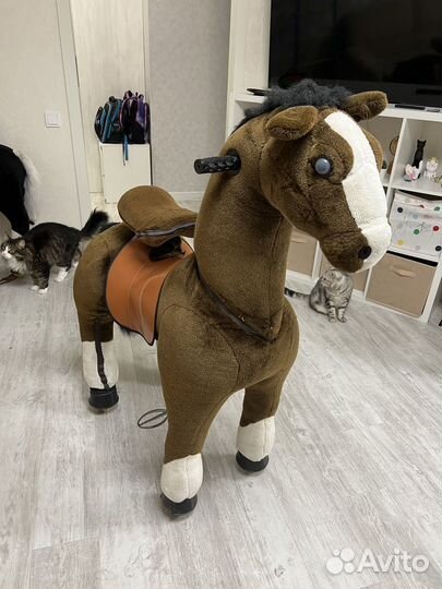 Лошадка поницикл