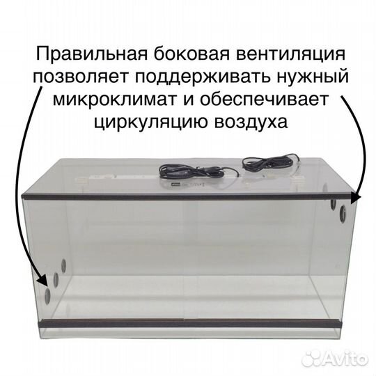 Террариум для бородатой агамы д80ш40в40 / змеи
