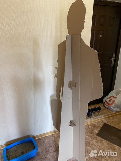 Картонная фигура Сергея Лазарева