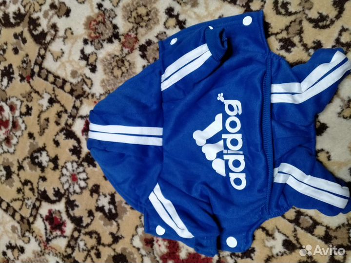 Комбинезон для маленькой собаки