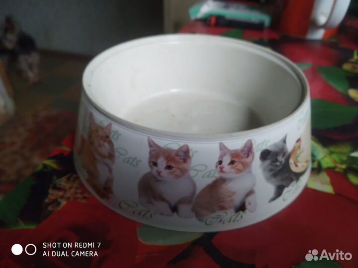 Сковорода,крышка, миска для кошек