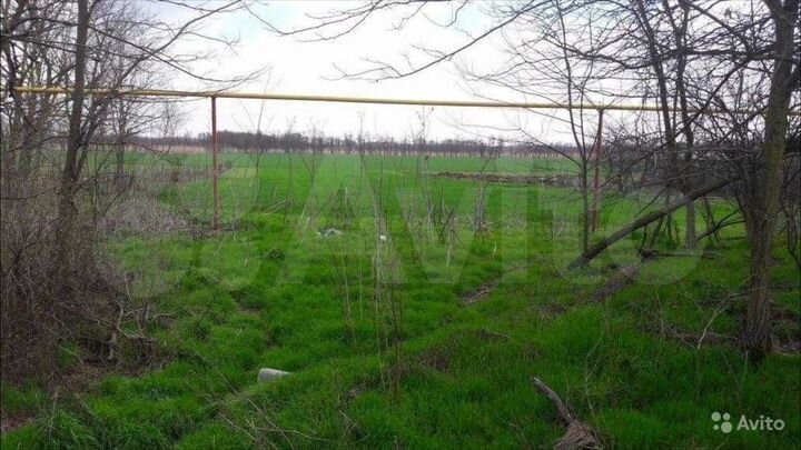 Участок 38 сот. (ИЖС)