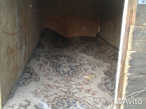 Будка - Термос