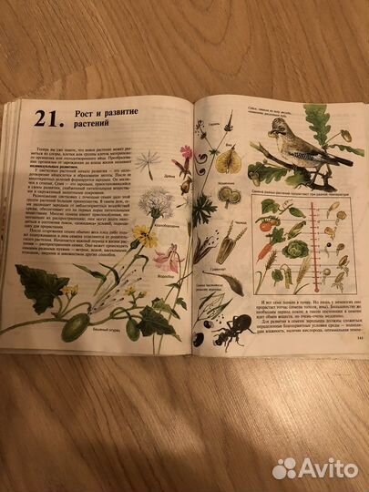 Учебник биологии 6 класс