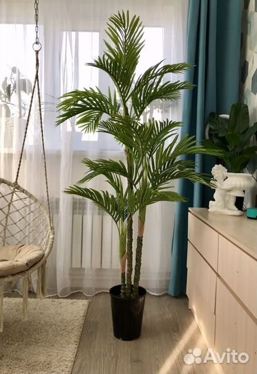 Интерьерное дерево, Искусственное дерево Фикус