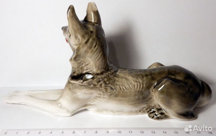 Овчарка лфз