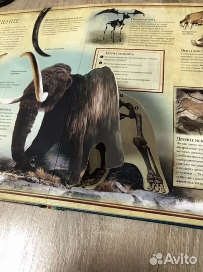 Энциклопедии с 3D рисунками