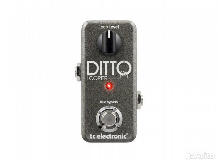 TC Electronic Ditto Looper гитарный семплер-лупер