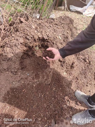 Навоз говяжий перегной