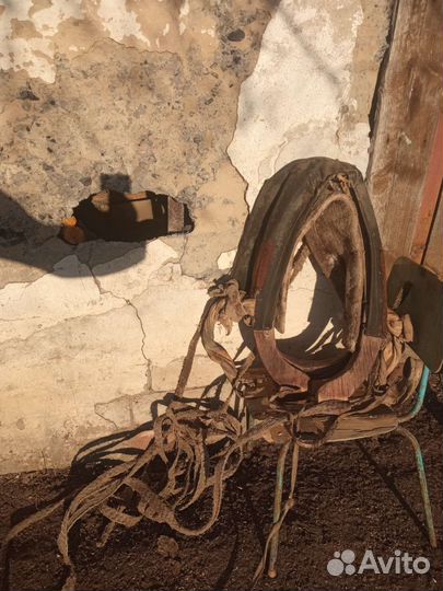 Упряжь для лошади