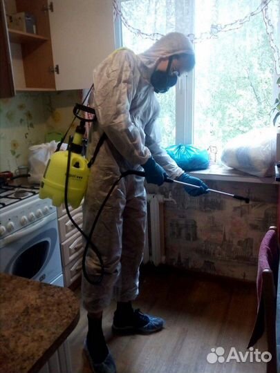 Уничтожение тараканов и клопов дезинфекция