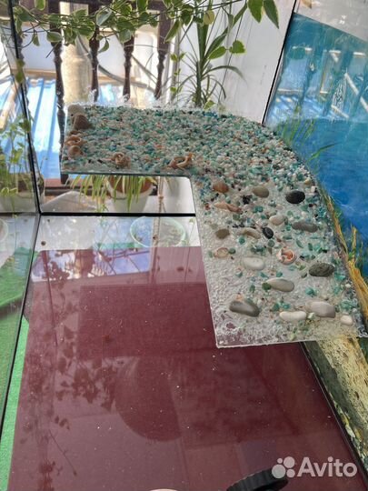 Продаю черепашник