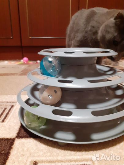 Игрушки для котят