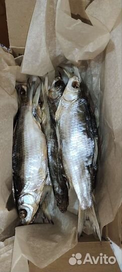 Рыба Астраханская вяленая