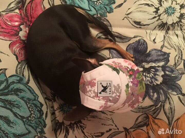 Головные уборы