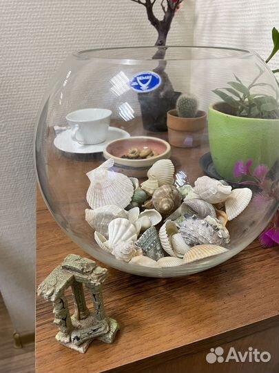 Аквариум 5 литров