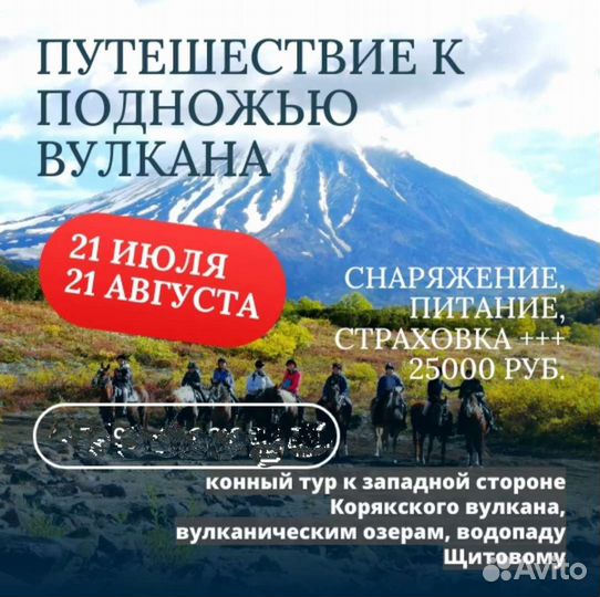 Конные прогулки