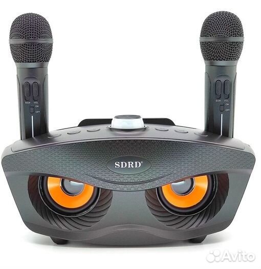Караоке система с двумя микрофонами sdrd SD-306 Pl