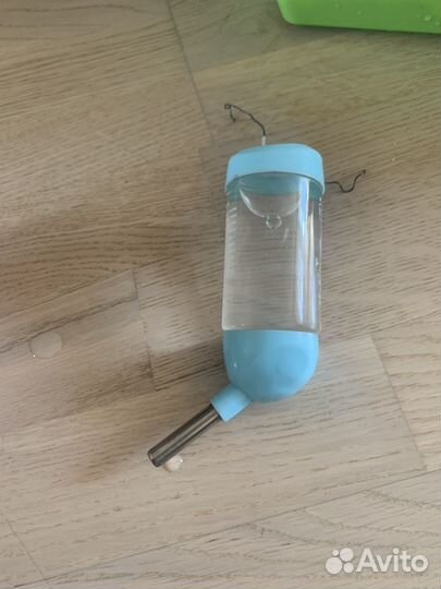 Крыса с клеткой