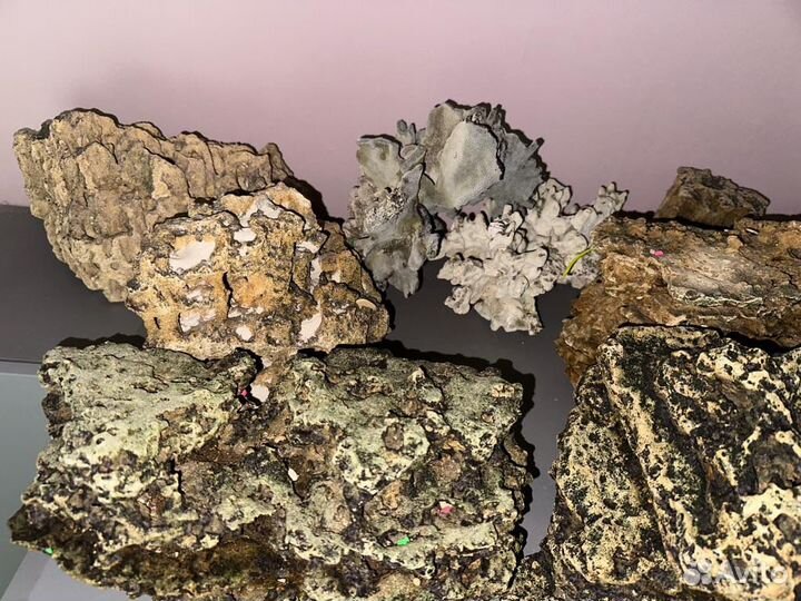 Камень песчанник для аквариума