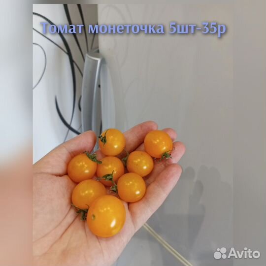 Семена томатов