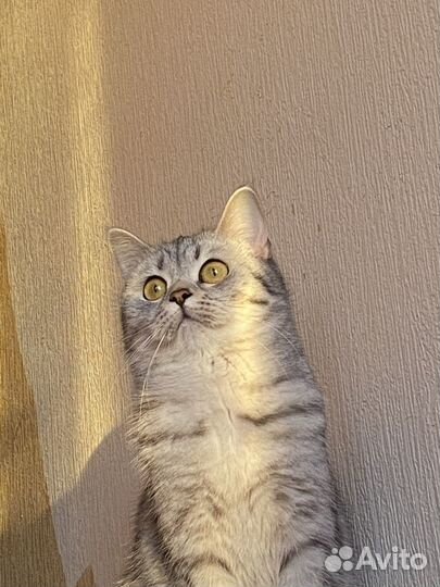 В нужные руки