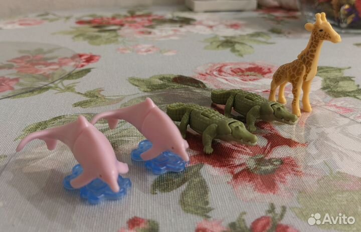 Kinder surprise natoons