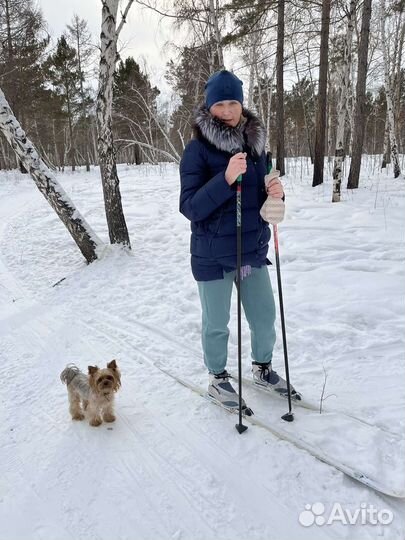 Ищем невесту
