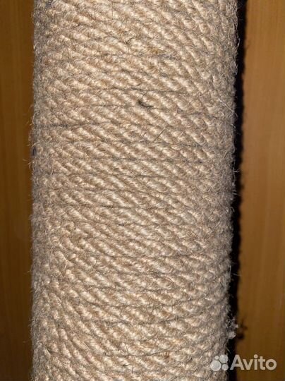 Когтеточка 2м