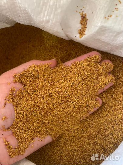 Семена медоносов и лекарств растении