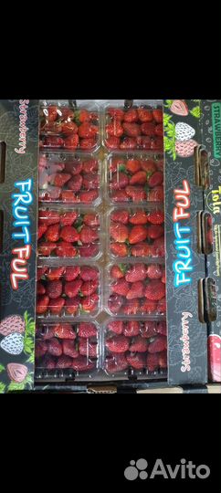 Свежая клубника