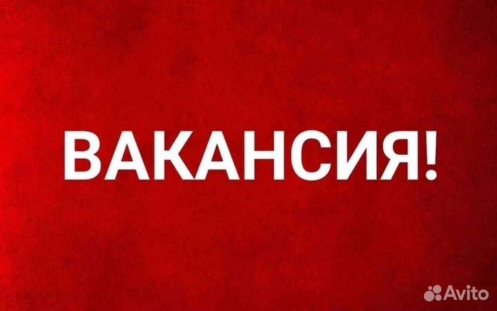 Старший оператор