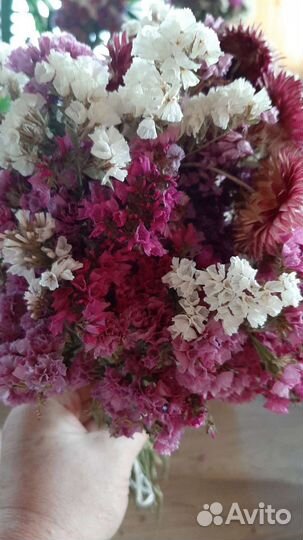 Букет цветы статица