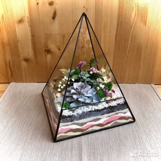 Флорариум Финансовая Пирамида с суккулентами