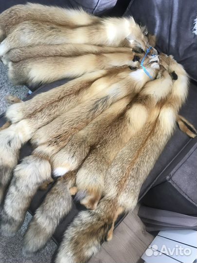 Шкуры лис выделанные