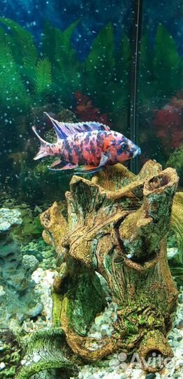 Аквариум с тумбой