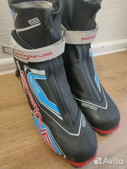 Лыжные ботинки spine carrera carbon pro 398